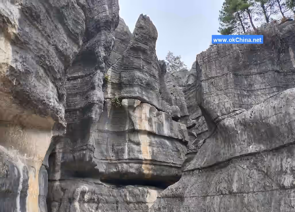 Wansheng Black Mountain Valley And Dragon Scale Stone Sea Scenic Area