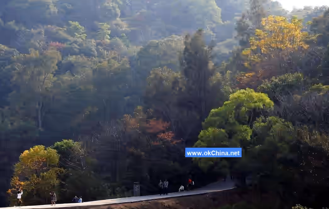 Baiyun Mountain Scenic Area
