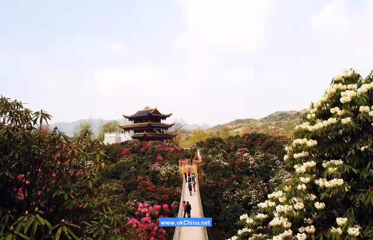 Bai Li Dujuan Scenic Area