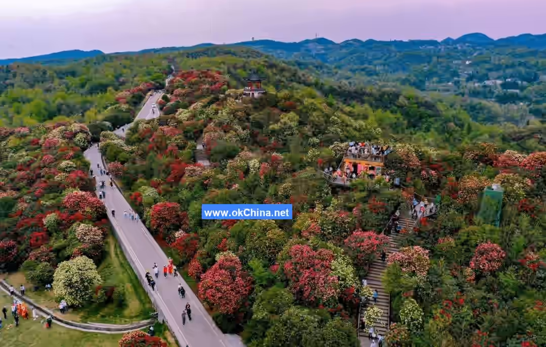 Bai Li Dujuan Scenic Area