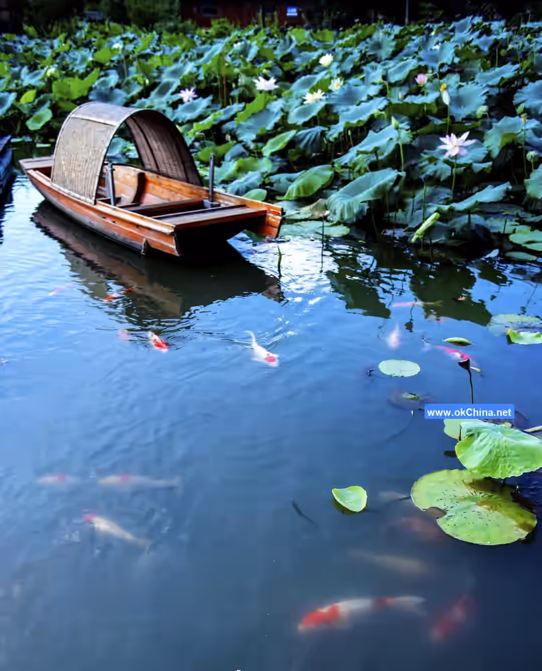 Baiyang Lake Scenic Area