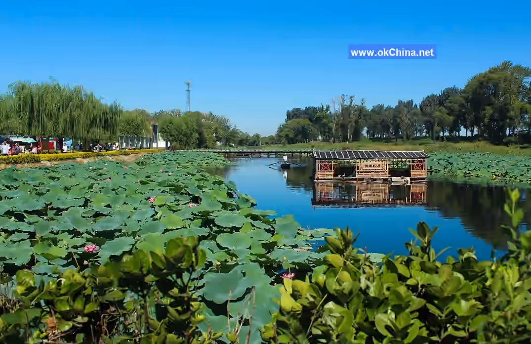 Baiyang Lake Scenic Area