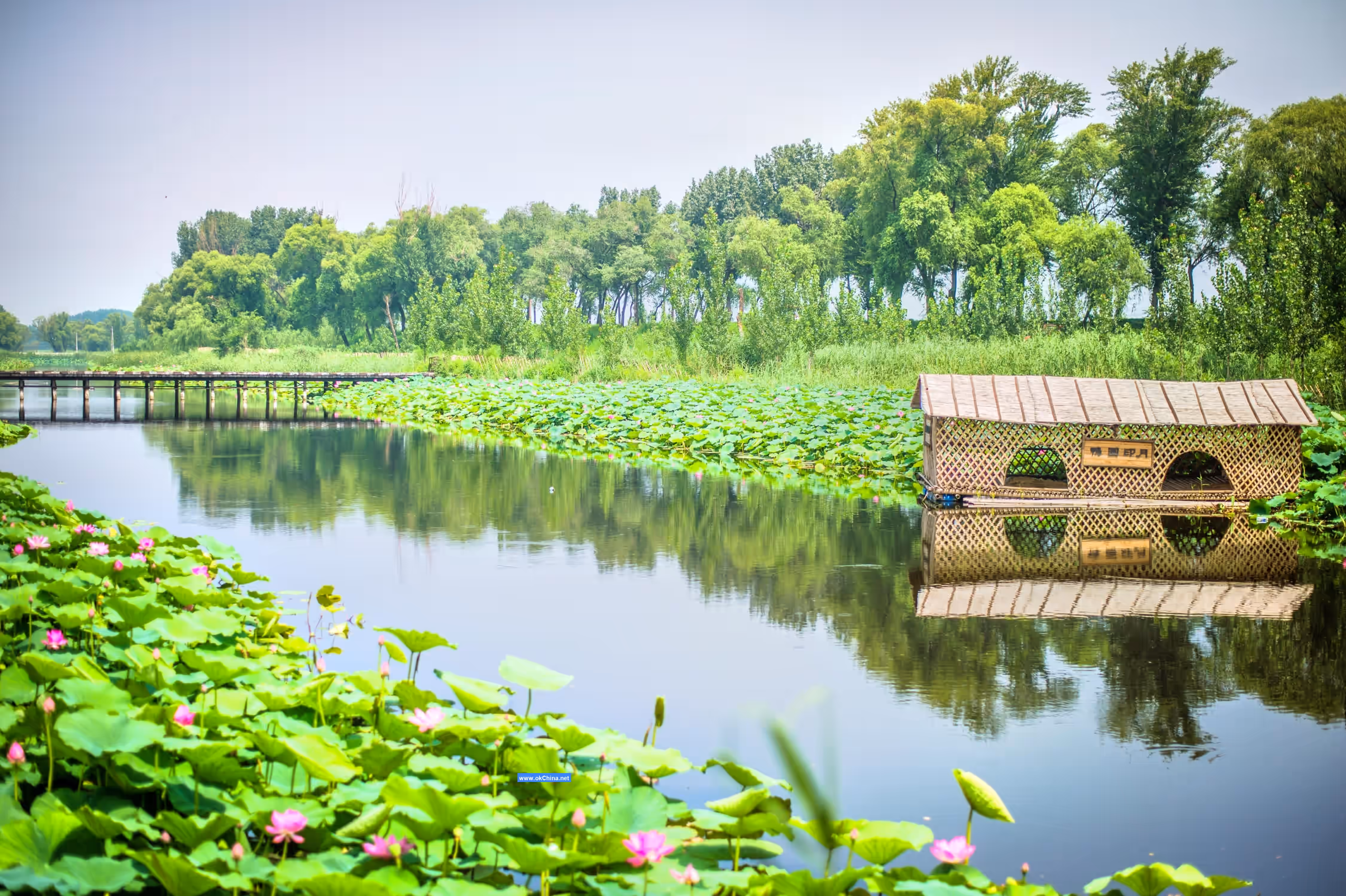 Baiyang Lake Scenic Area
