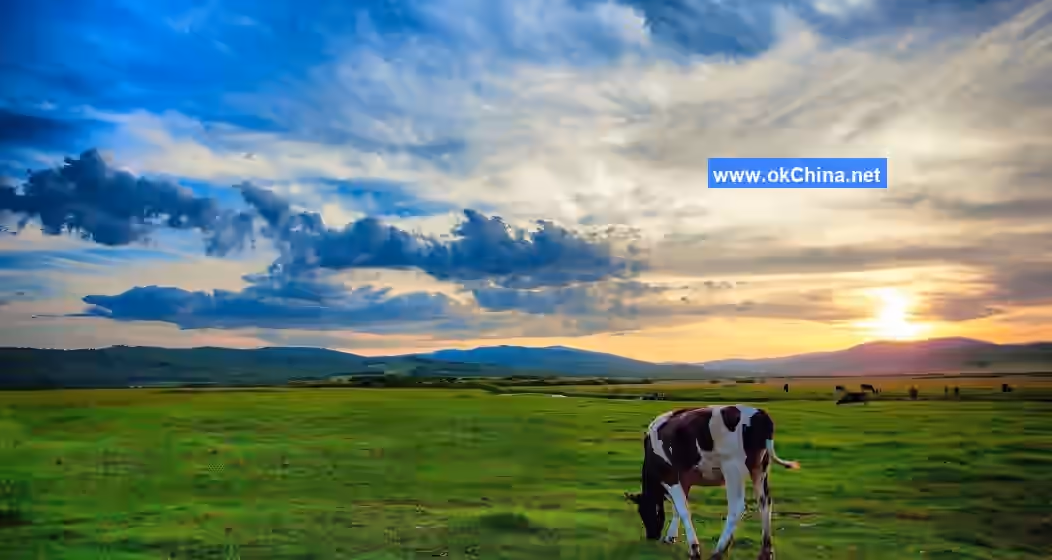 Hulunbuir Grassland And Moergai River Scenic Area