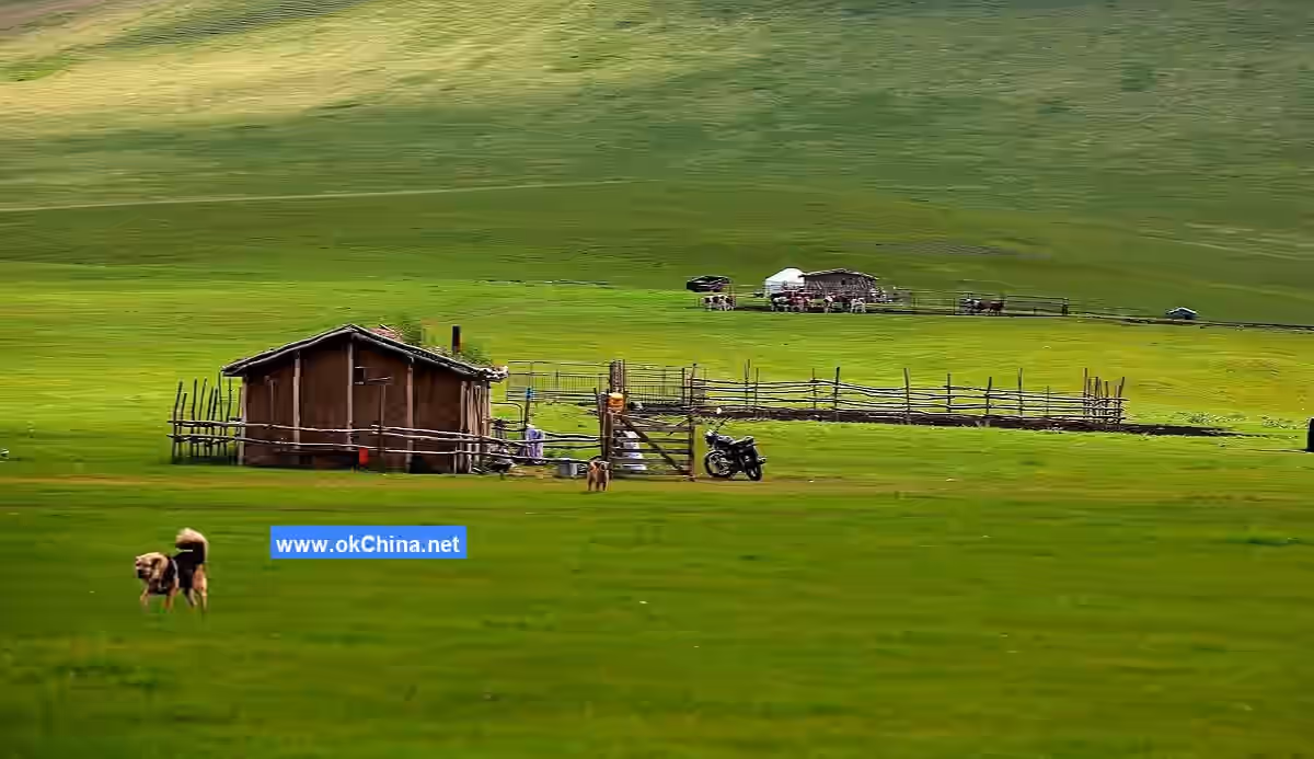 Hulunbuir Grassland And Moergai River Scenic Area