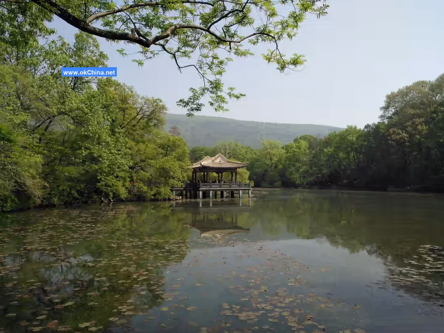 Sun YatSen Mausoleum Scenic Area And Zhongshan Scenic Area