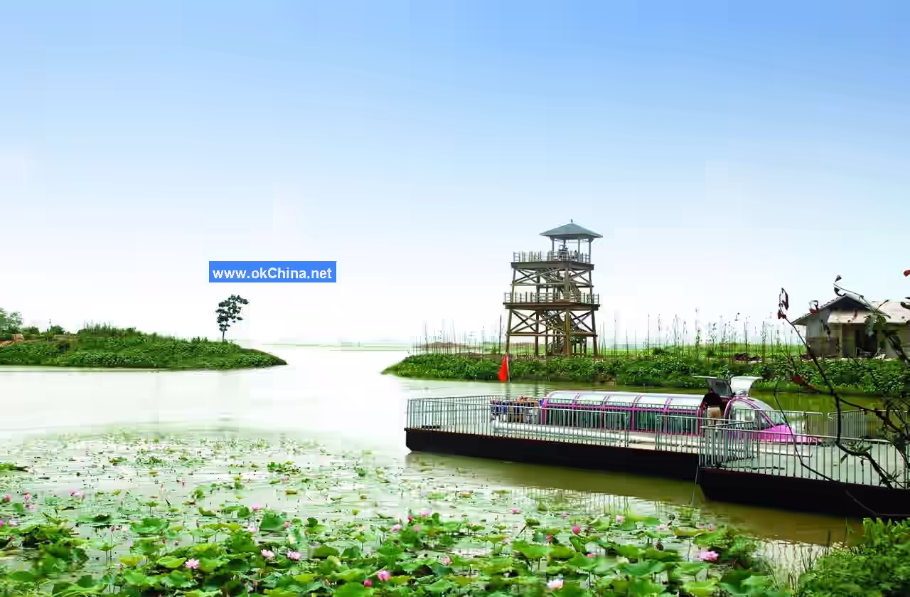 Hongze Lake Wetland Scenic Area
