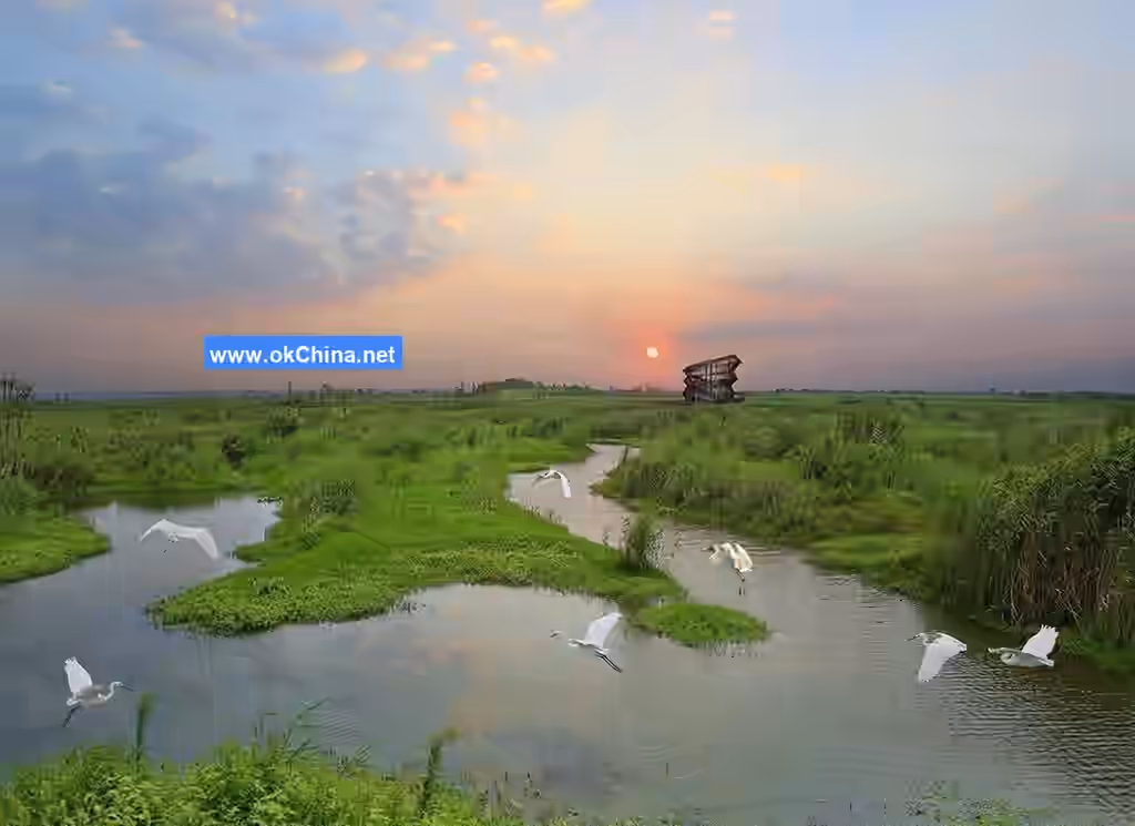 Hongze Lake Wetland Scenic Area