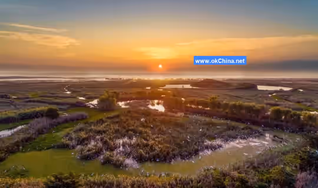 Hongze Lake Wetland Scenic Area