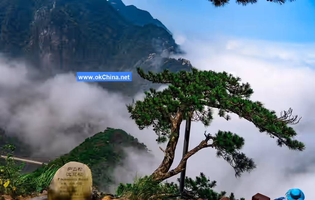 Lushan Mountain Scenic Area