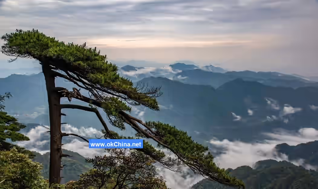 Sanqing Mountain Scenic Area