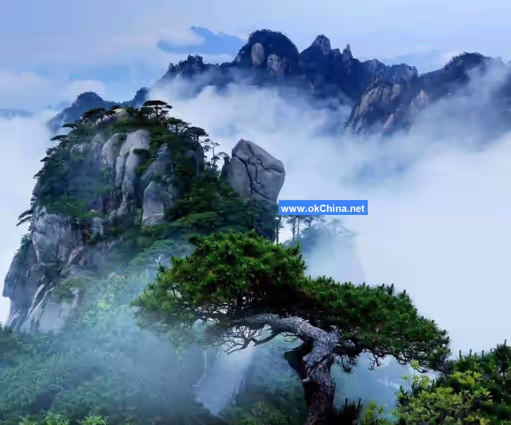 Sanqing Mountain Scenic Area
