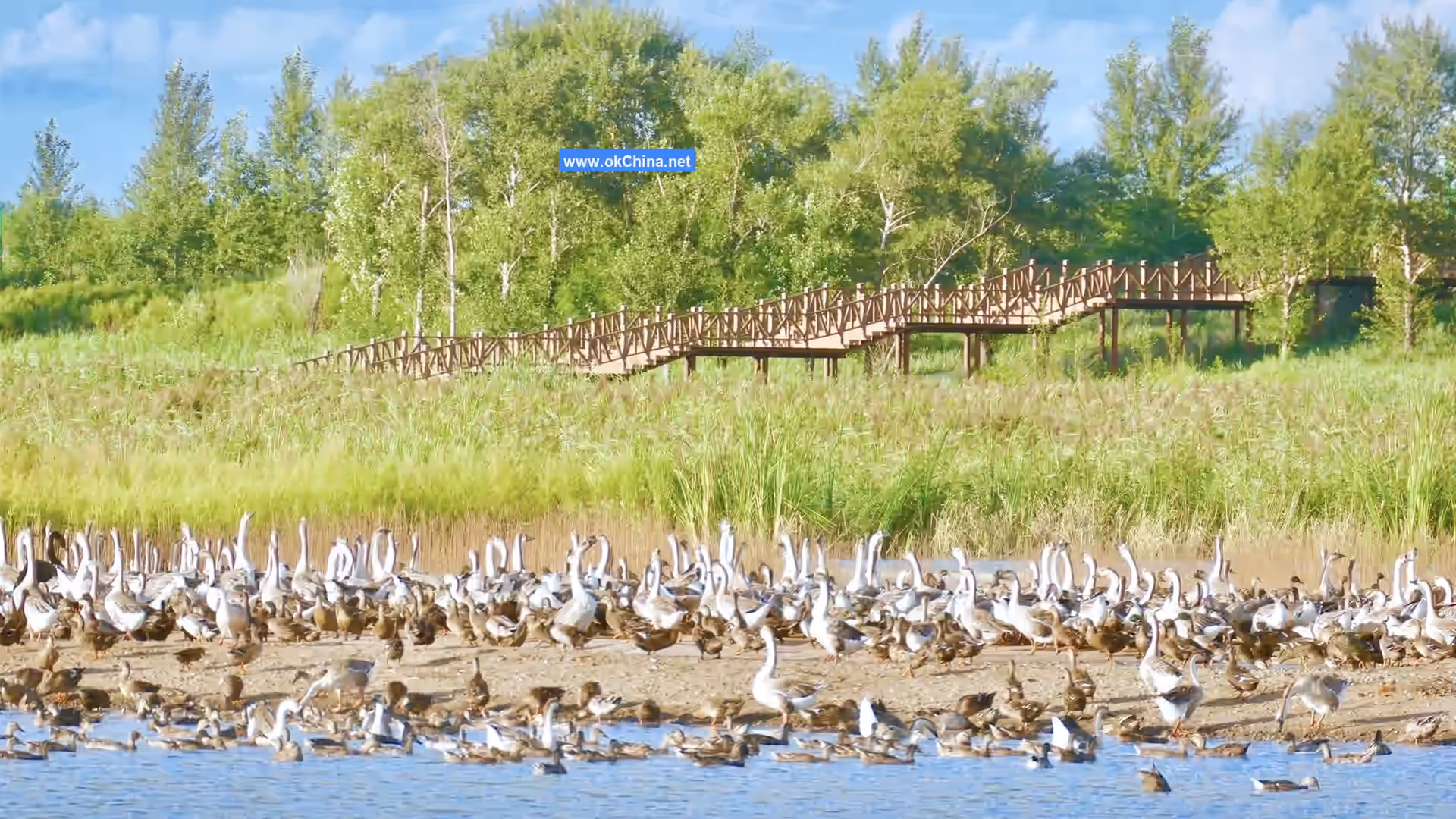 Qianguo Chagan Lake Scenic Area
