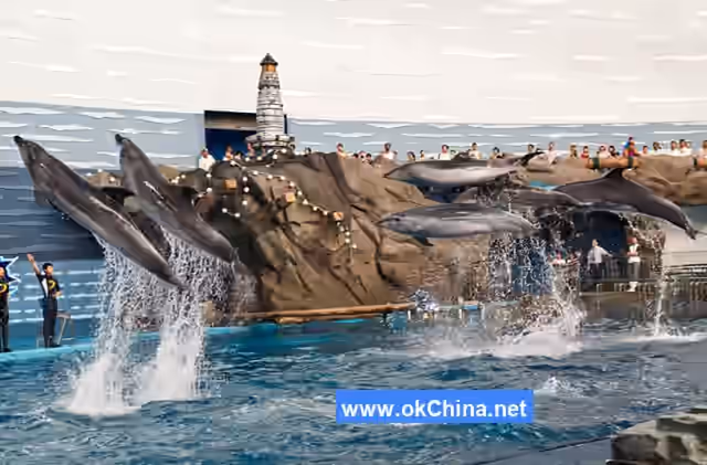 Tiger Beach Ocean Park And Tiger Beach Polar Aquarium