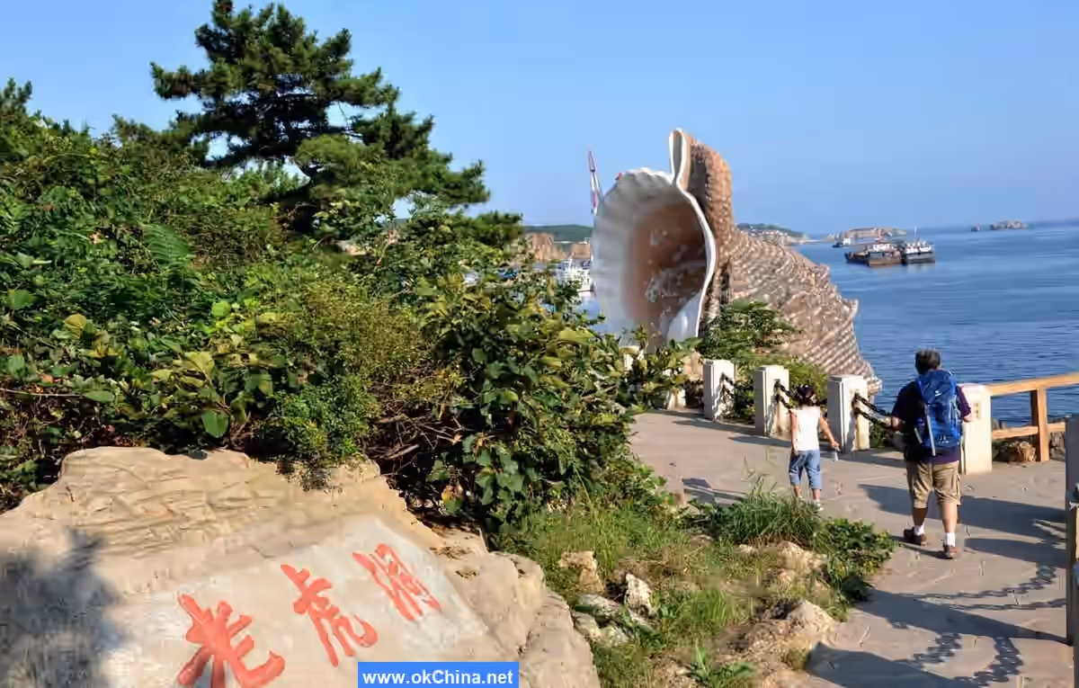 Tiger Beach Ocean Park And Tiger Beach Polar Aquarium
