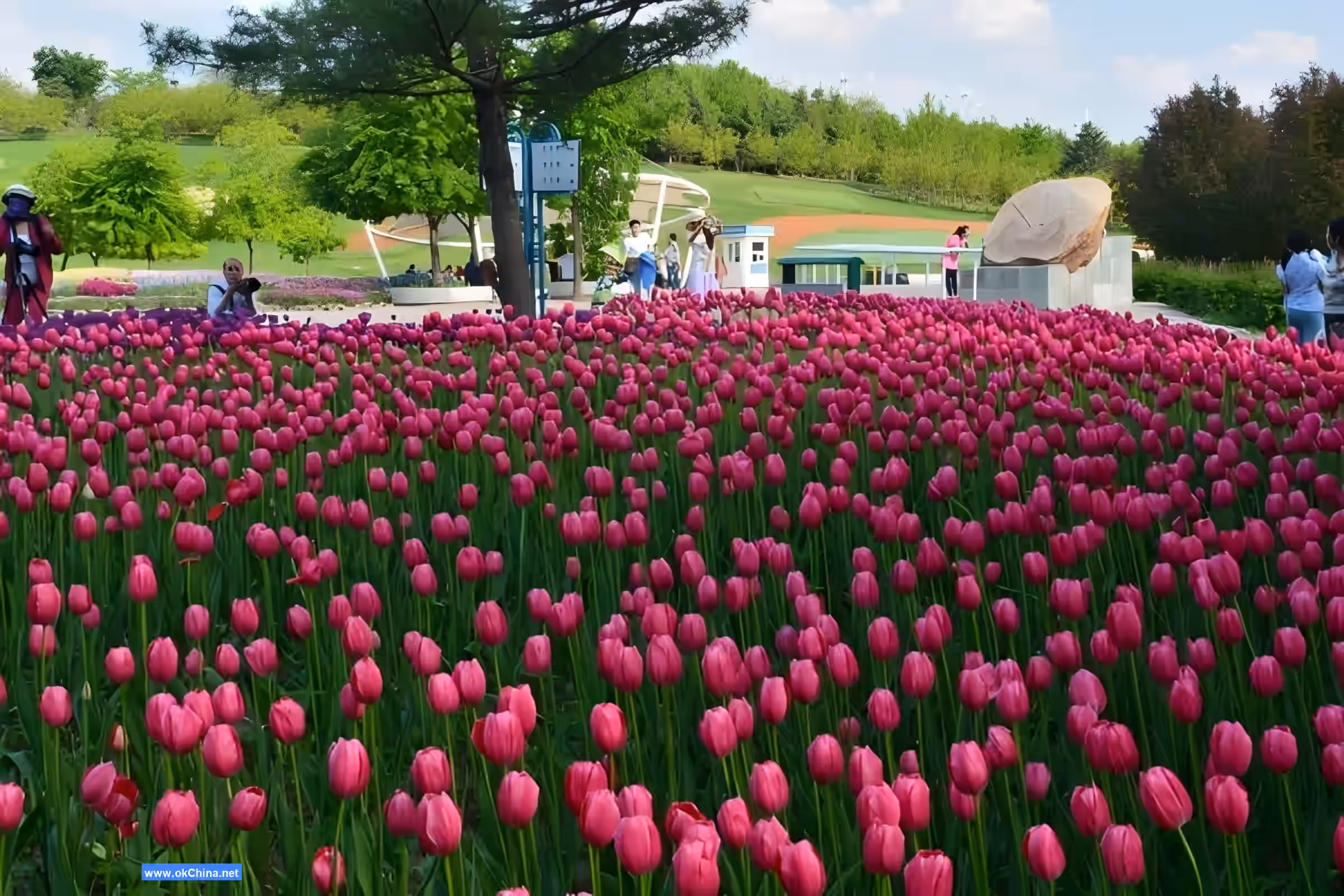 Shenyang Botanical Garden