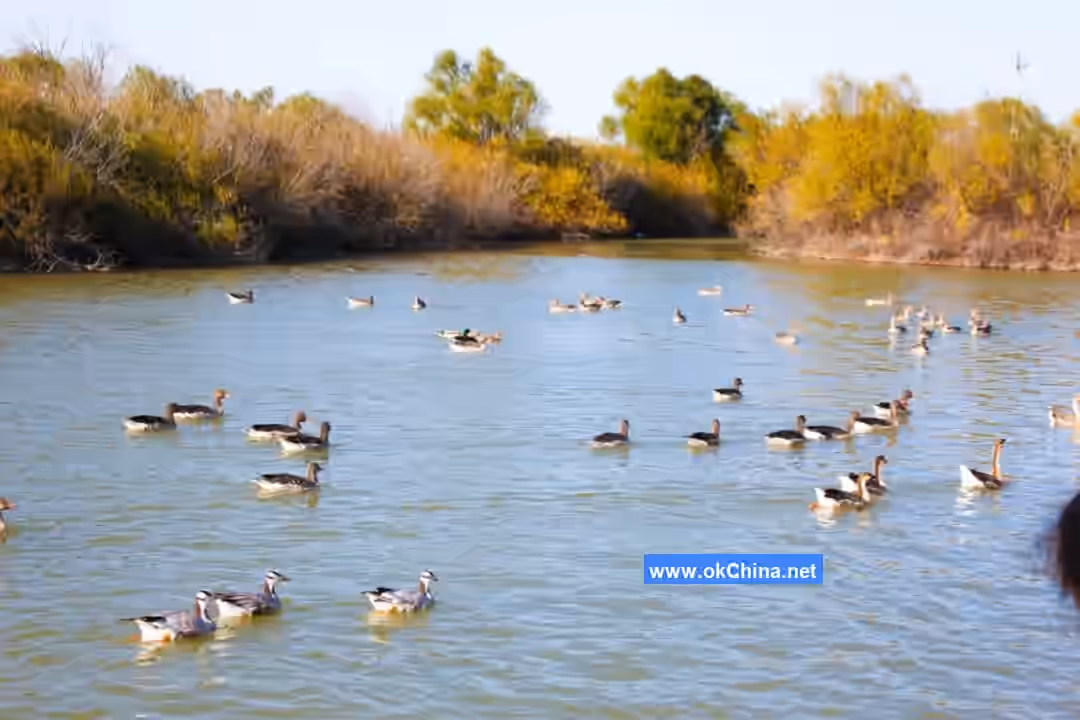 Yellow River Estuary Ecological Tourist Area