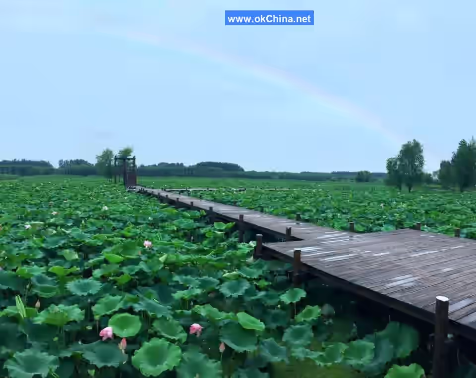 Weishan Lake Tourist Area