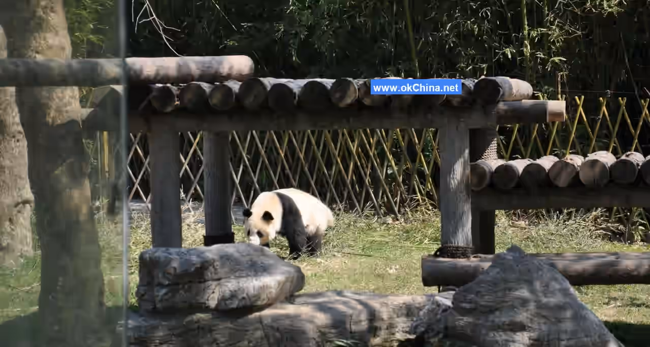 Shanghai Wild Animal Park