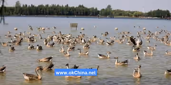 Xisha Pearl Lake Scenic Area