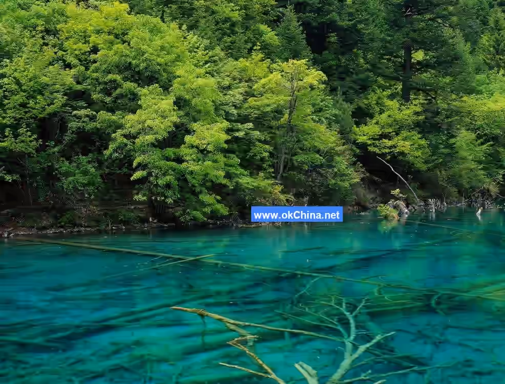 Jiuzhaigou Scenic Area