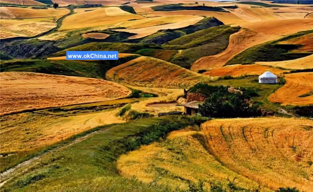 Jiangbulak Scenic Area