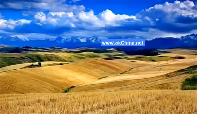 Jiangbulak Scenic Area
