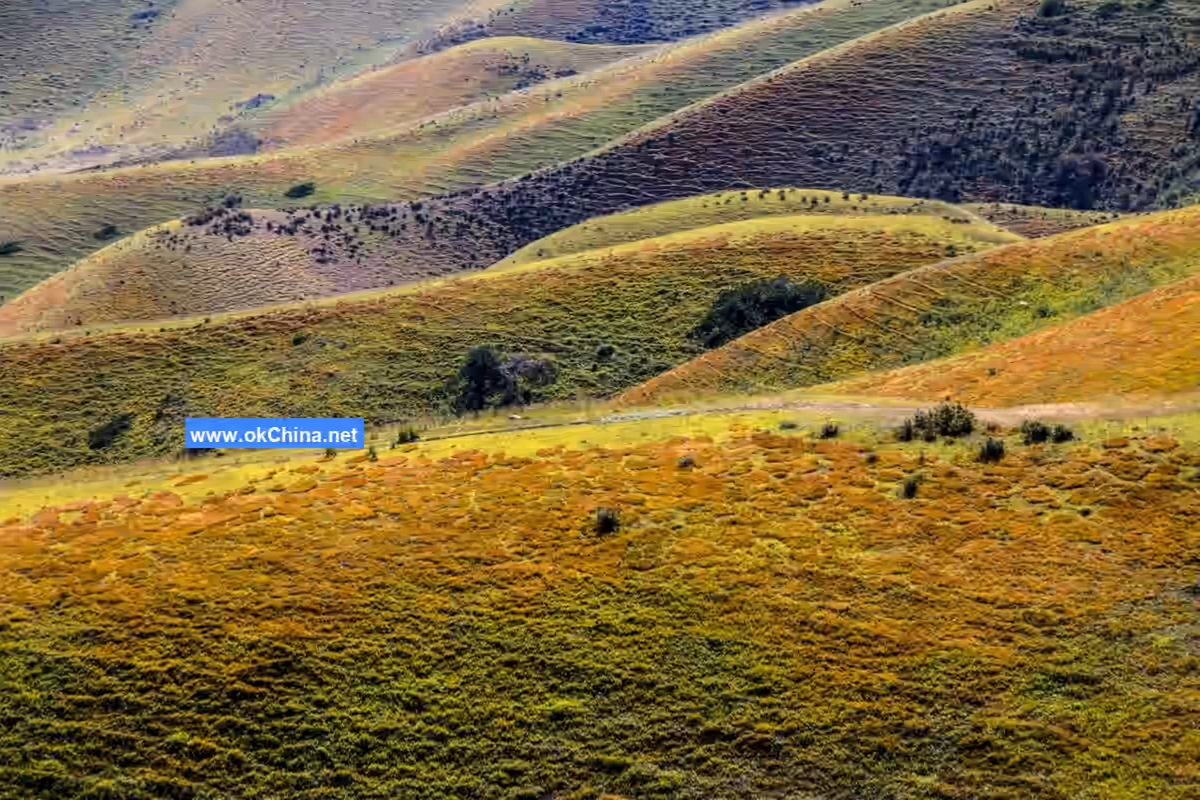 Karajun Scenic Area