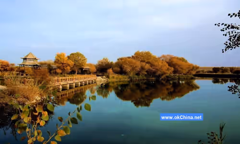 Zepu Populus Euphratica National Forest Park