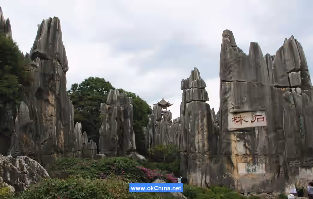 Stone Forest Scenic Area