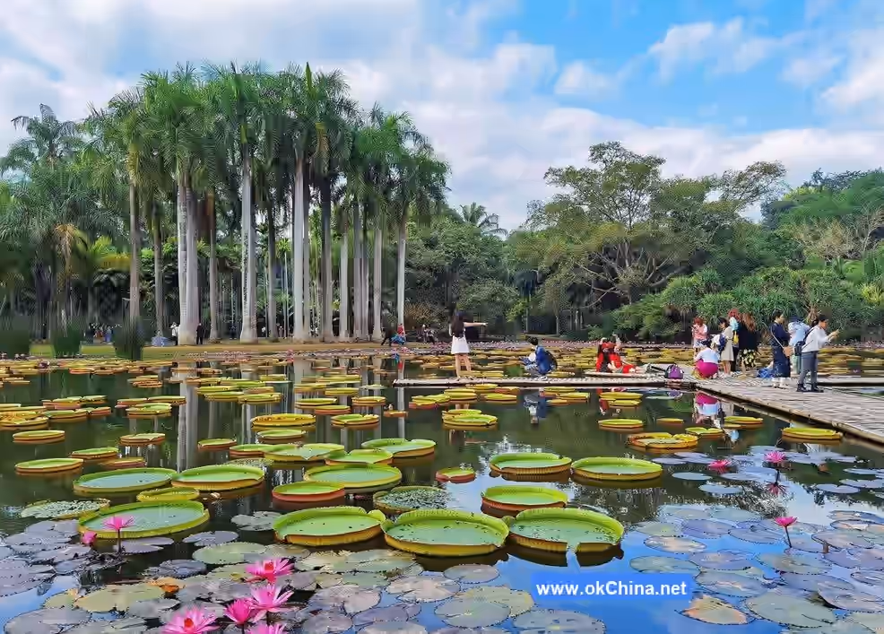 Xishuangbanna Tropical Botanical Garden