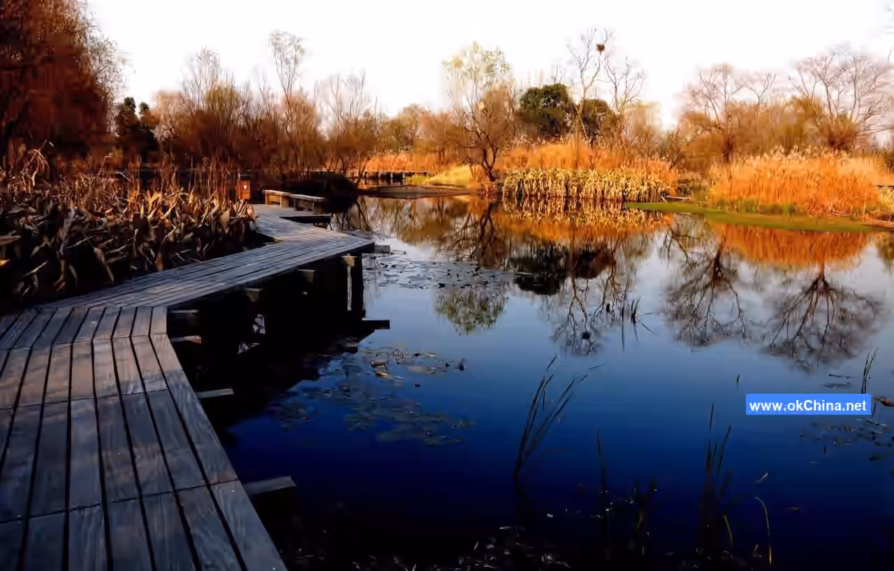 Xixi Wetland Tourist Area