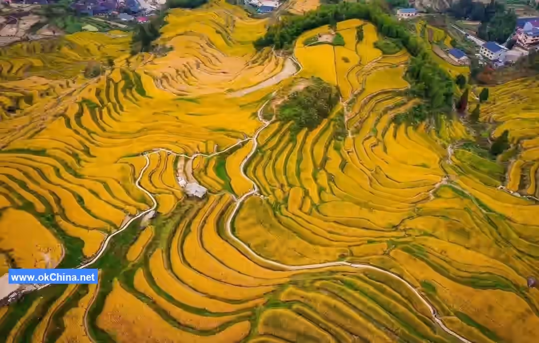 Yunhe Terraced Fields Scenic Area